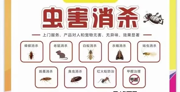 探討深圳滅蟲公司上門除衣蛾怎么收費?衣蛾怎么除?