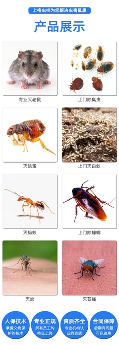廈門效率高的蟲害控制消殺公司