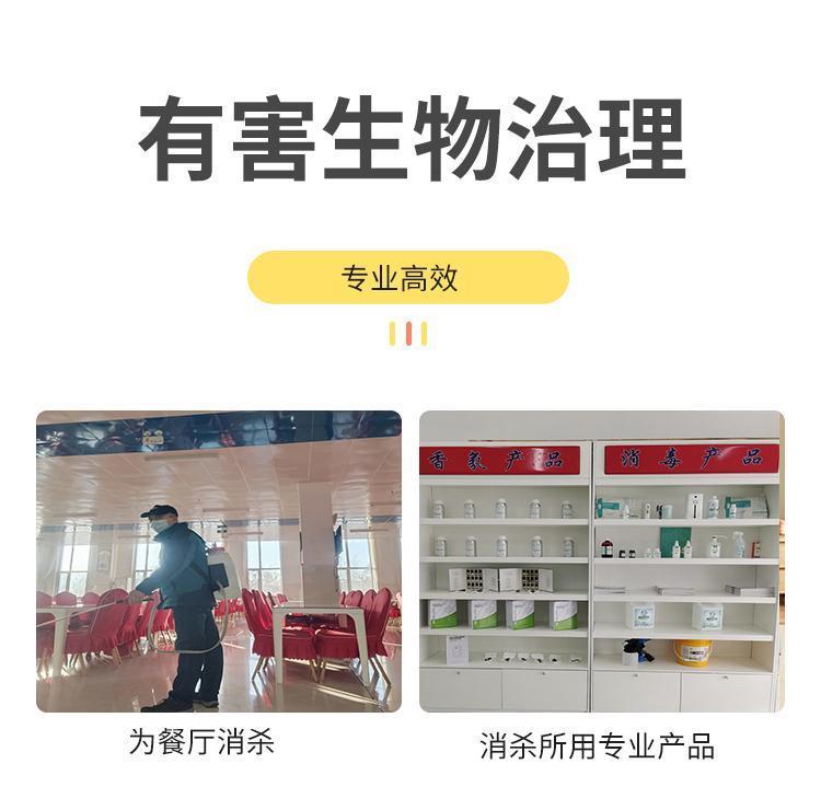 滅蟑螂 滅鼠 上門除四害 消殺服務 生活區除蟲害施工